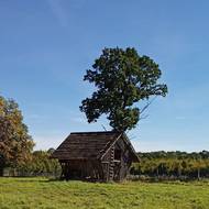 Seník u Anglické cesty v CHKO Soutok.