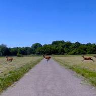 Snímek z CHKO Soutok.