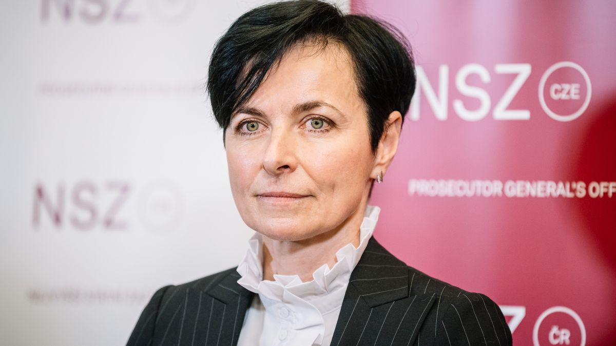 Bradáčová chce kontrolu kyberzločinů, kde mohlo dojít k chybám ve vyšetřování