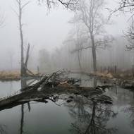 Novou CHKO tady vláda Petra Fialy vyhlásila teprve letos v červenci.