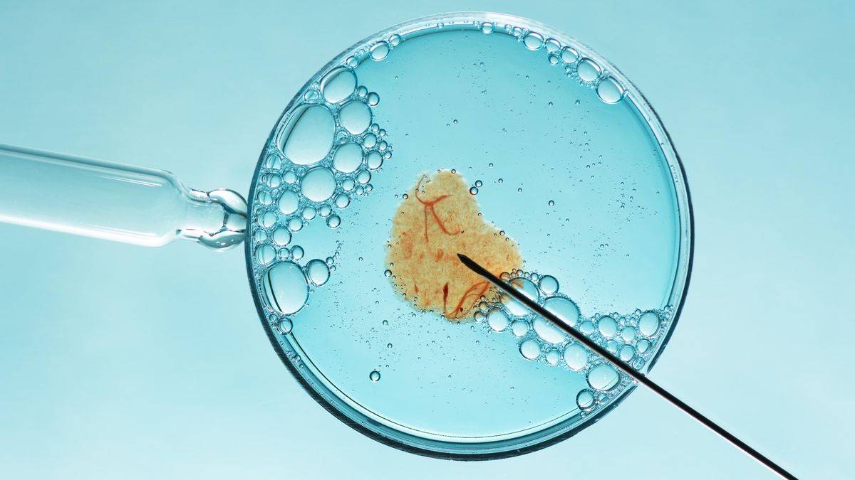 „Něco je špatně.“ Kliniky asistované reprodukce spletly rodinám dárce