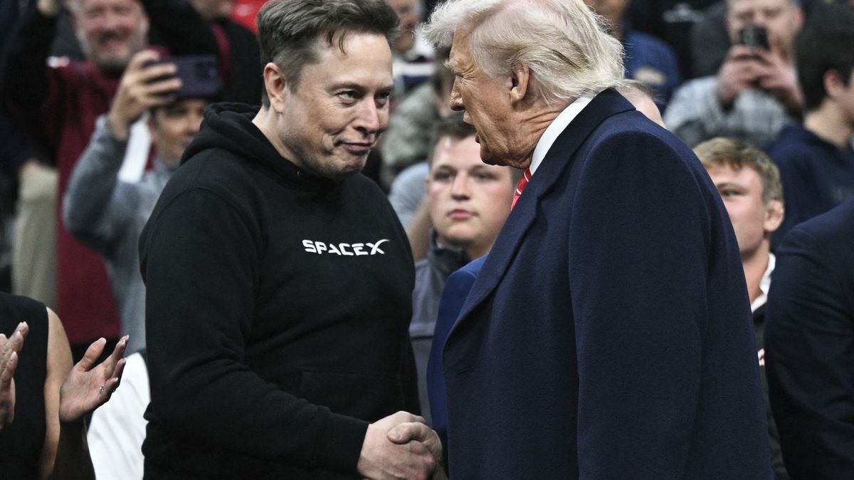 Hundreds Protest Trump, Musk in Europe