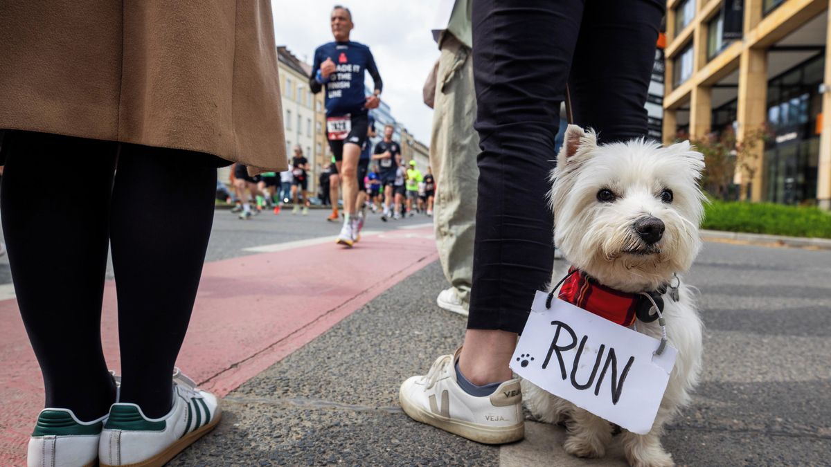 "Marathon Travel Costs & Running Tips: How to Save Money & Avoid Mistakes"