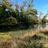 Vadí to ale aspirantovi na most ministra životního prostředí ve vznikající vládě, předsedovi Motoristů Petru Macinkovi.