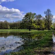 CHKO Soutok zahrnuje největší plochu lužních lesů ve střední Evropě.