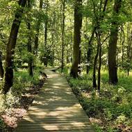 Stezka k soutoku Moravy a Dyje.