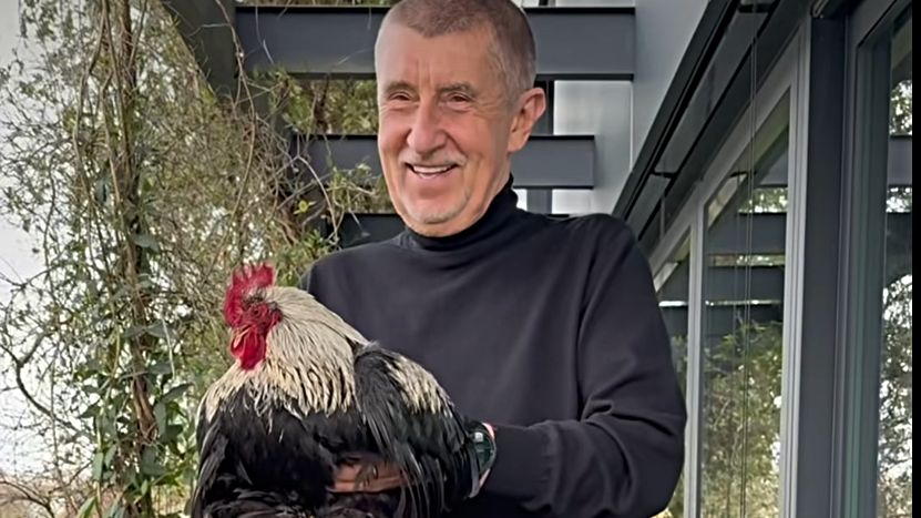 Fialův James, Okamurův Vémola nebo Babišův kohout? Koho zvolíte?