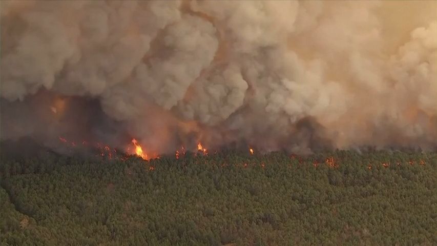 Video: Oblaka dýmu a štiplavý kouř. New Jersey sužuje lesní požár