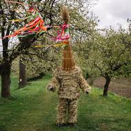 Základem této tradice je zřejmě lidový obraz potrestání zrádce vedením na popraviště a upálením, jak bylo běžné ve středověku.