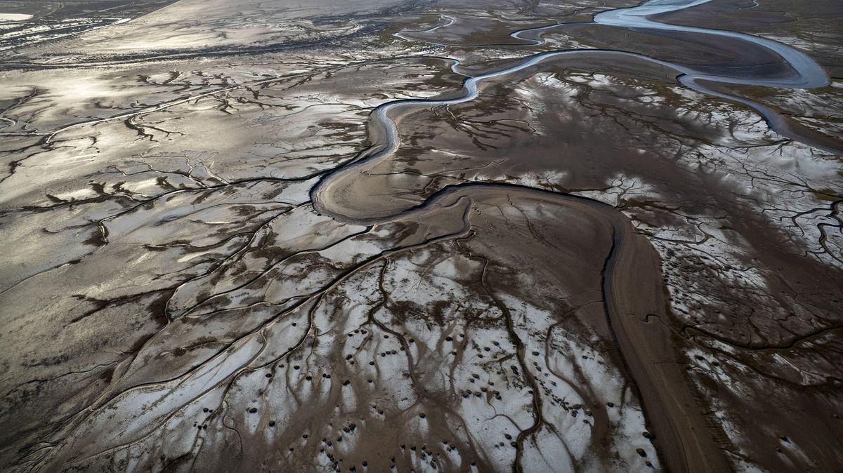 Fotky: Delta řeky Colorado se probouzí k životu