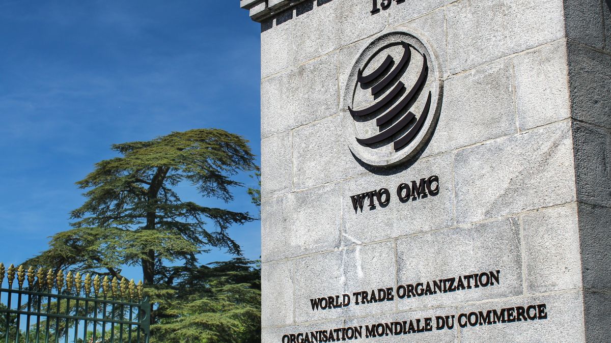 EU se odvolala proti rozhodnutí WTO ve sporu s Čínou o patenty