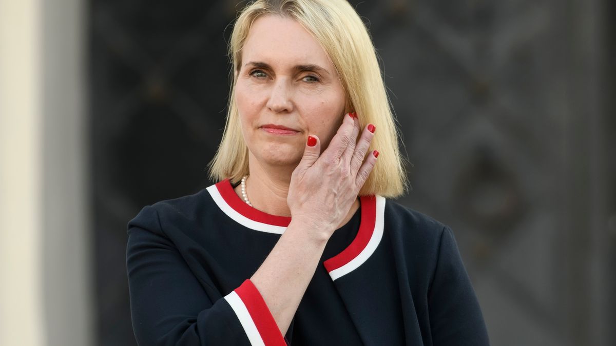 Tlaky Kyjeva i Washingtonu. Okolnosti odchodu velvyslankyně USA na Ukrajině