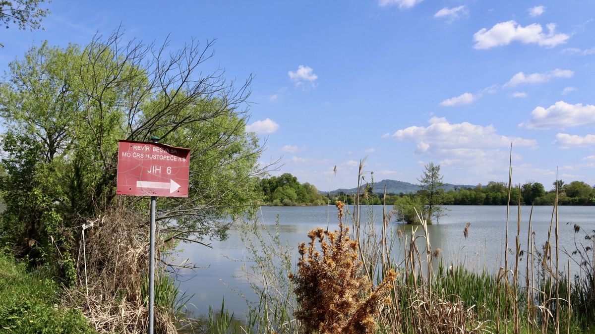 Testy plodin i ryb v okolí havárie vlaku s benzenem jsou v pořádku