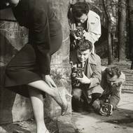 Fred Kramer: Reklamní fotografie, móda, kolem 1958