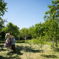 Před domem nového krále již čeká jeho kůň.