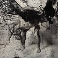 Pavel Jasanský: Zápasy, 1990 až 1991.