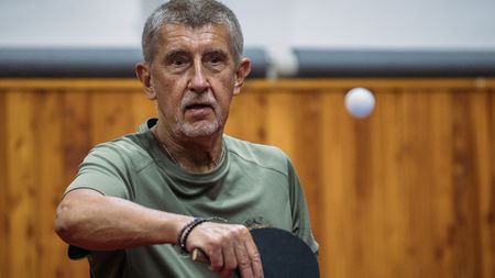 Babiš si bude muset vybrat. Post premiéra, dotace pro firmy nebo „slepý fond“