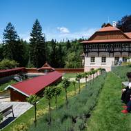 Centrem setkávání a společenské zábavy lázeňských hostů býval venkovní bazén Říčních lázní, napájený z říčky Šťávnice.