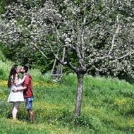 A zatímco politici skandovali na Střeleckém ostrově svá hesla, na pražském Petříně se oslavovala láska.