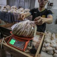 Připomeňme, že Izrael vpadl do Gazy po krvavém útoku ze 7. října 2023, při němž palestinští teroristé zavraždili na 1200 lidí na přes 250 dalších odvlekli do zajetí. 