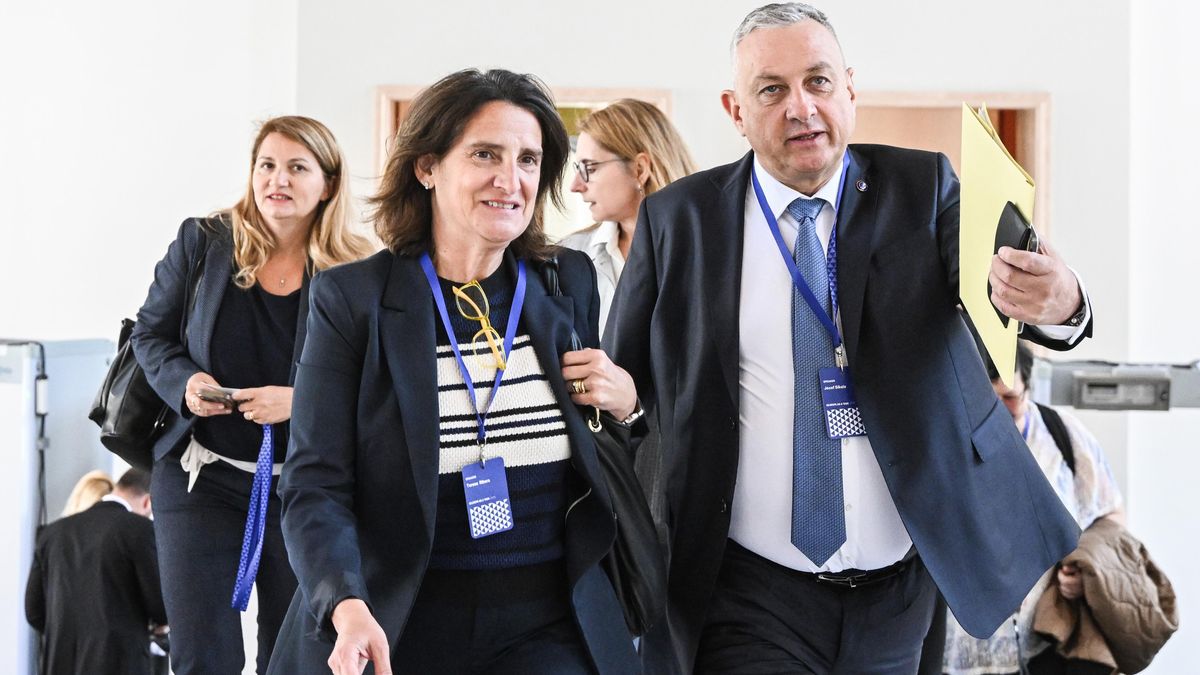 Lze dělat jen dílčí ústupky, vzkazuje Česku nová komisařka přes Green Deal