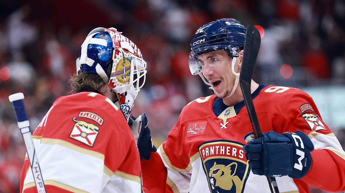 Nejpodceňovanější Čech v NHL se může dočkat: boj s McDavidem o Stanley Cup
