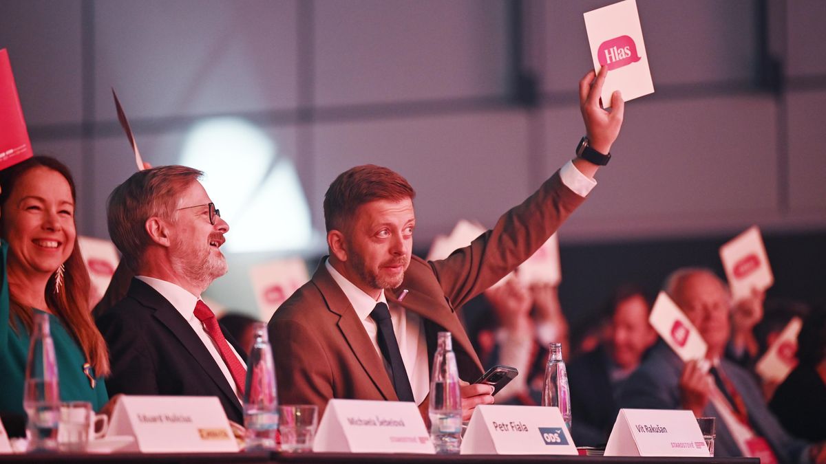 Manželství pro všechny, euro, daň na cukr. Co slibují Starostové v programu