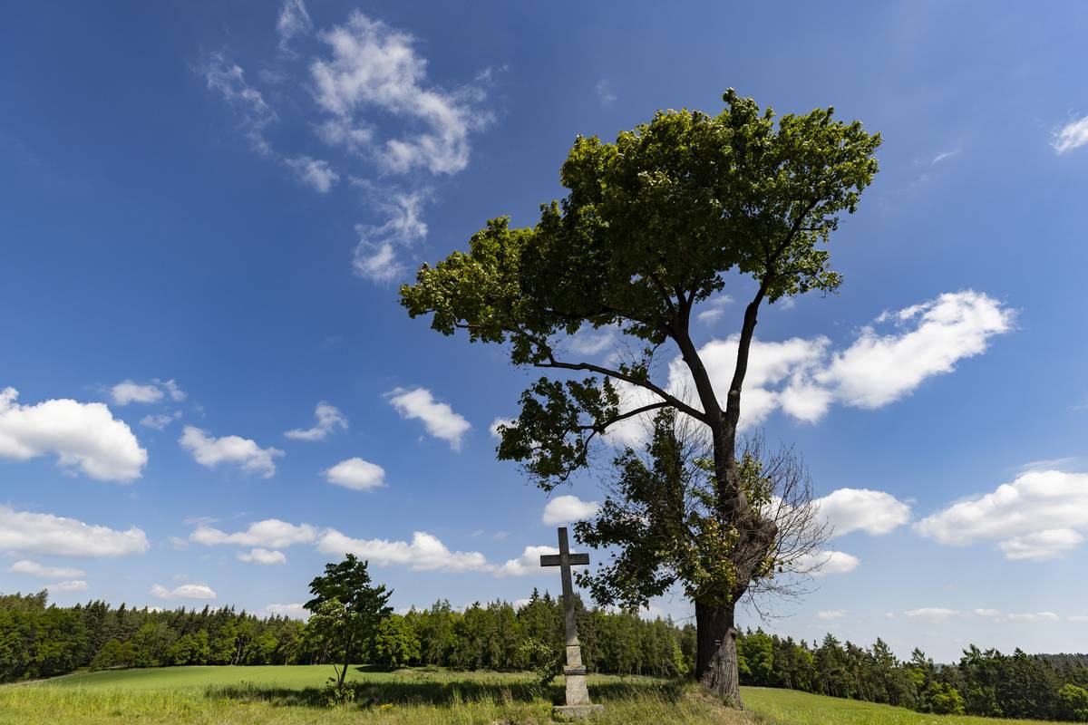 Vyhlídka s křížem mezi obcemi Křečovice a Strážovice, kde doktora v podání Rudolfa Hrušínského srazil jeho vlastní vůz.