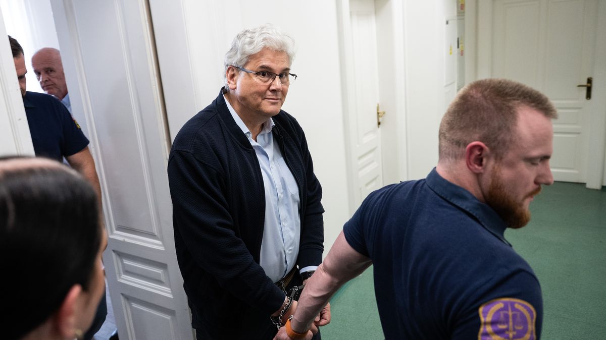 Bývalého šéfa motolské nemocnice Ludvíka pustil soud z vazby