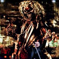 V závěru nechyběly hity The Trooper, Run to the Hills nebo titulní skladba debutového alba Iron Maiden z roku 1980, které vyvolaly u publika nadšení.