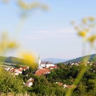 Okolí Strání, kde sklárna sídlí, nabízí úžasné výhledy, přírodu a procházky.
