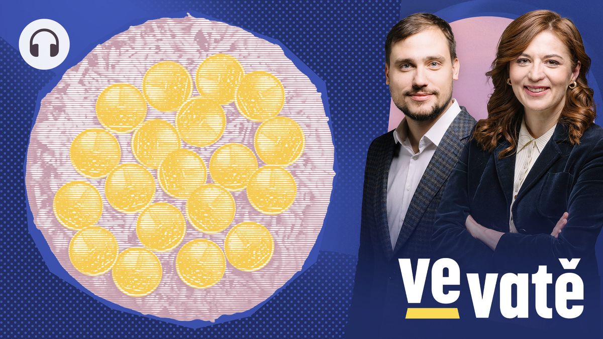 Mražená pizza věští recesi. Až přijde sem, Češi koupí lahváče, říká ekonom
