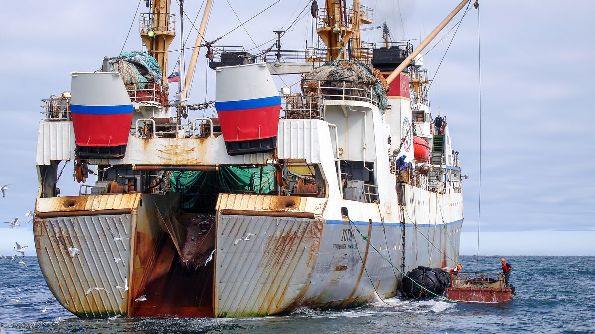 Sabotáže, špionáž. Rusko kryje tajemné „rybáře“ a světový řád se rozpadá