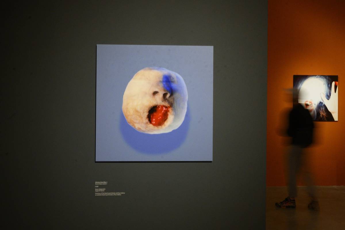 Na fotografii z výstavy David Lynch – Up in Flames, která v pražském DOX potrvá do 8. února 2026, je autorovo dílo nazvané Chicken Head Blue 1 z roku 2008.