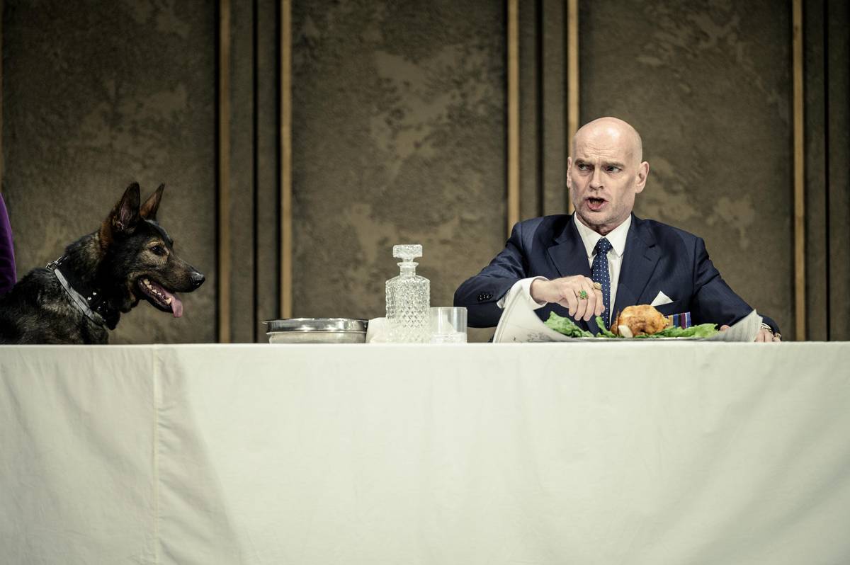 Na fotografii z nové inscenace Krála Leara, kterou v sobotu uvedla Státní opera, jsou pes Donnie a Tómas Tómasson v roli Leara.