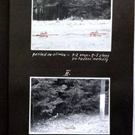 Fotografie z místa nalezení těla ošetřovatelky Věry Vesecké a košíku s nemluvnětem.