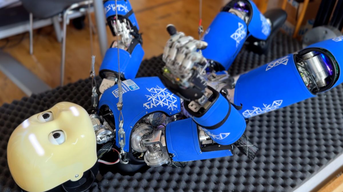 Robotické dítě na ČVUT pomáhá chápat lidský vývoj. Až vyroste, pomůže doma