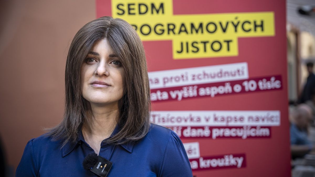 Sociální demokracie bude ve volbách do sněmovny kandidovat samostatně