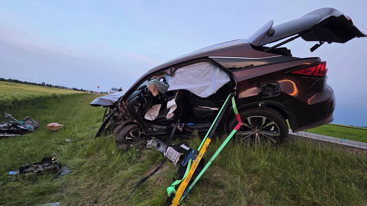 Smrtelná nehoda: Žalobce se nesmířil s tím, že miliardář vyvázl bez trestu