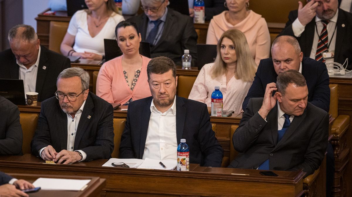 Paradoxy českých „bojovníků“ za svobodu projevu