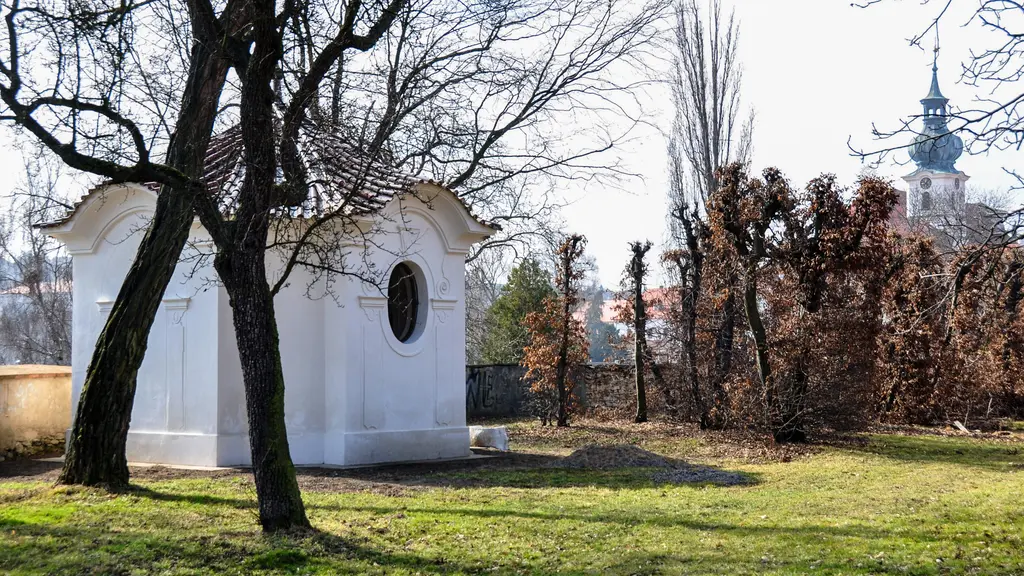 Obrázek po