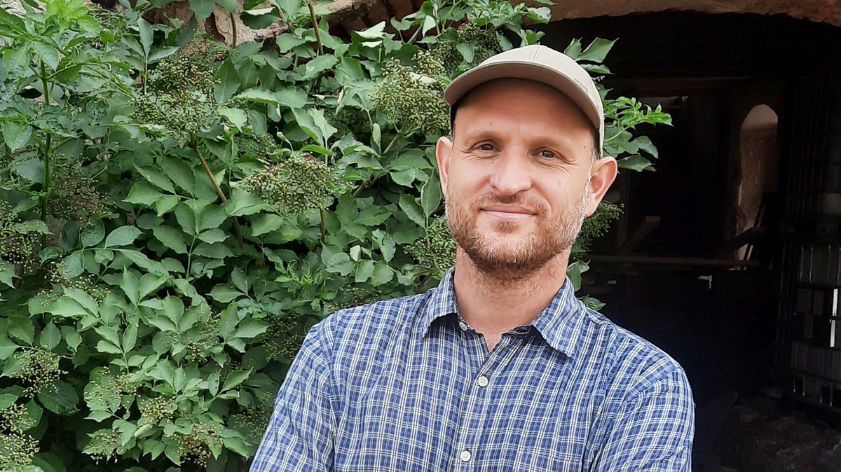 Kůrovce v lese potřebujeme. Problém jsou spíš invazní stromy a změny klimatu