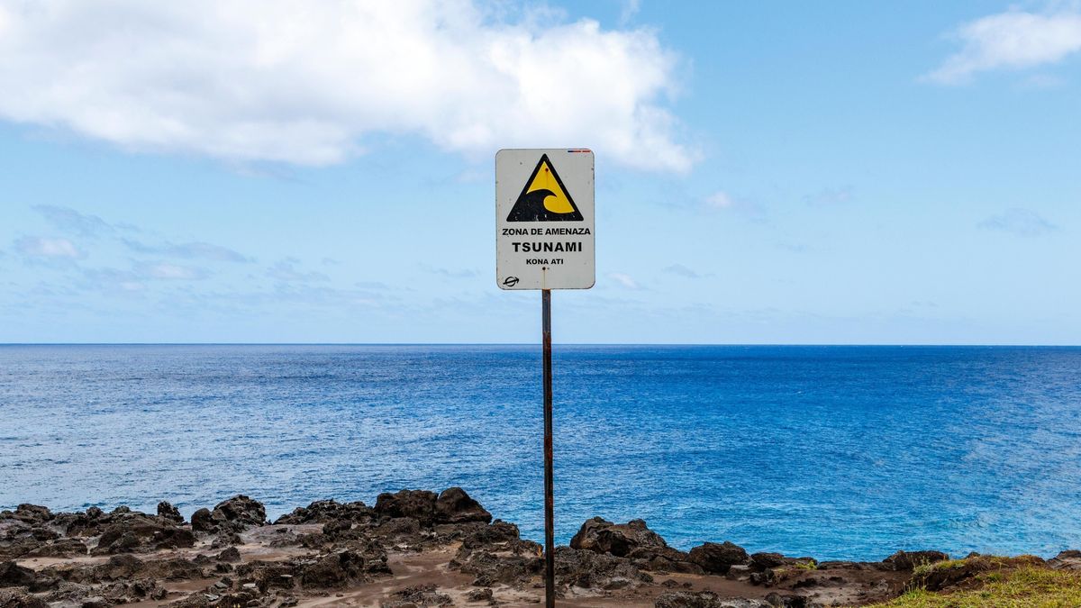 Co víme o aktuálním tsunami?