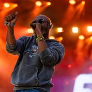 Koncert, při němž Shaggy opakovaně komunikoval hlavně s ženskou částí publika, připomínal velkou party.