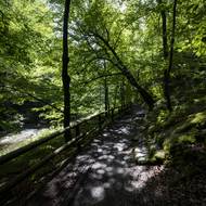 Evakuovalo se kvůli němu přes 500 lidí. Zásah trval 21 dní, vystřídalo se u něj 6000 hasičů a způsobil škodu okolo 270 milionů korun. 