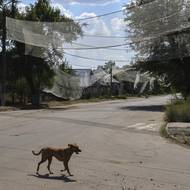 Řada místních říká, že atmosféra ve městě je najednou děsivá.