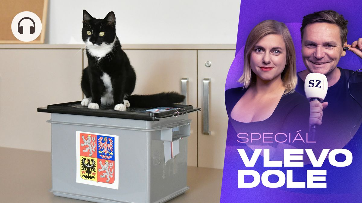 Pes Betyna, kočka Micka, prase Růža, kohout Silver. Vyberte vítěze voleb