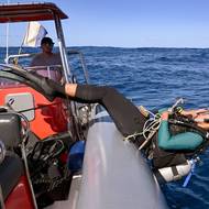 Tito bezobratlí představují hrozbu pro Velký bariérový útes v Austrálii, kde vědci vyvinuli roboty, kteří je odhalují a vstřikují jim jed. „Momentálně je likvidujeme hlavně injekčně,“ vysvětlil Sven Uthicke, výzkumný pracovník Australského institutu mořských věd.