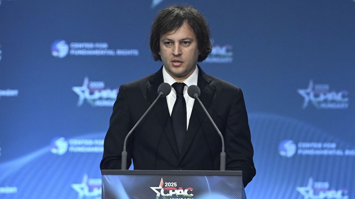 Gruzínský premiér se ohradil proti výhružce zrušení bezvízového režimu s EU