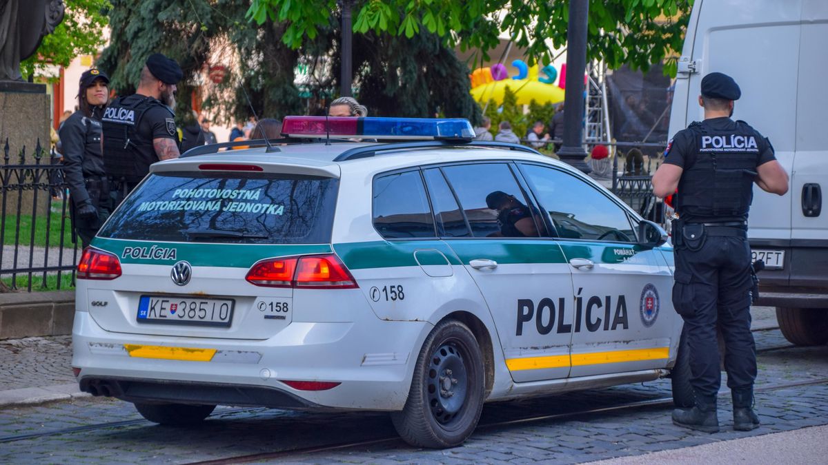 Slovenská vláda schválila návrh smlouvy o policejní spolupráci s Českem